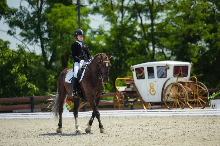 Horse riding - Country Recreation Club «Usadba Familia» | Photo 4