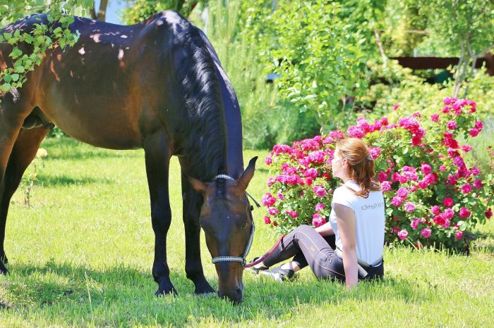 Equestrian boarding school - Country Recreation Club «Usadba Familia» | Photo 6