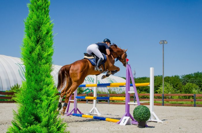 Horseback riding - Country Recreation Club «Usadba Familia» | Photo 2