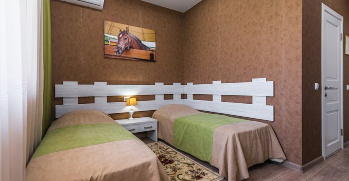 Life Arena Building Standard Double Room - Country Recreation Club «Usadba Familia» | Photo 2