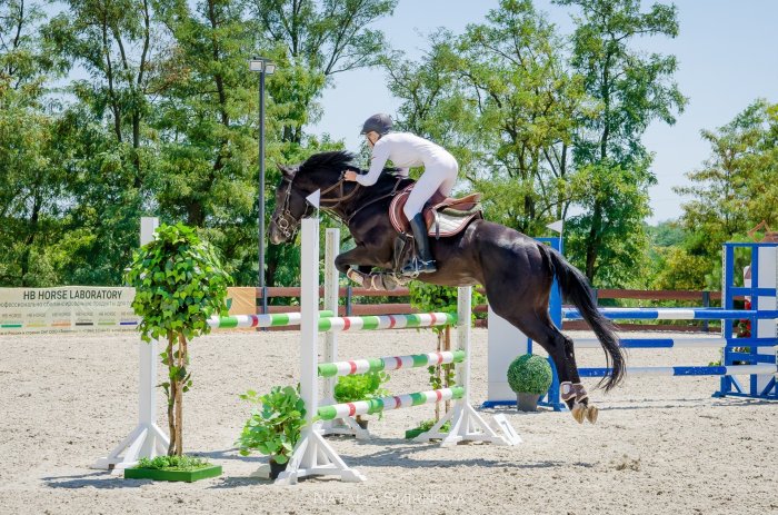 Horseback riding - Country Recreation Club «Usadba Familia» | Photo 3