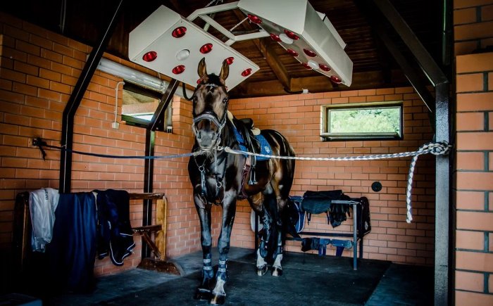Equestrian Club